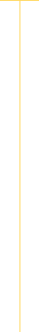 Divider Line